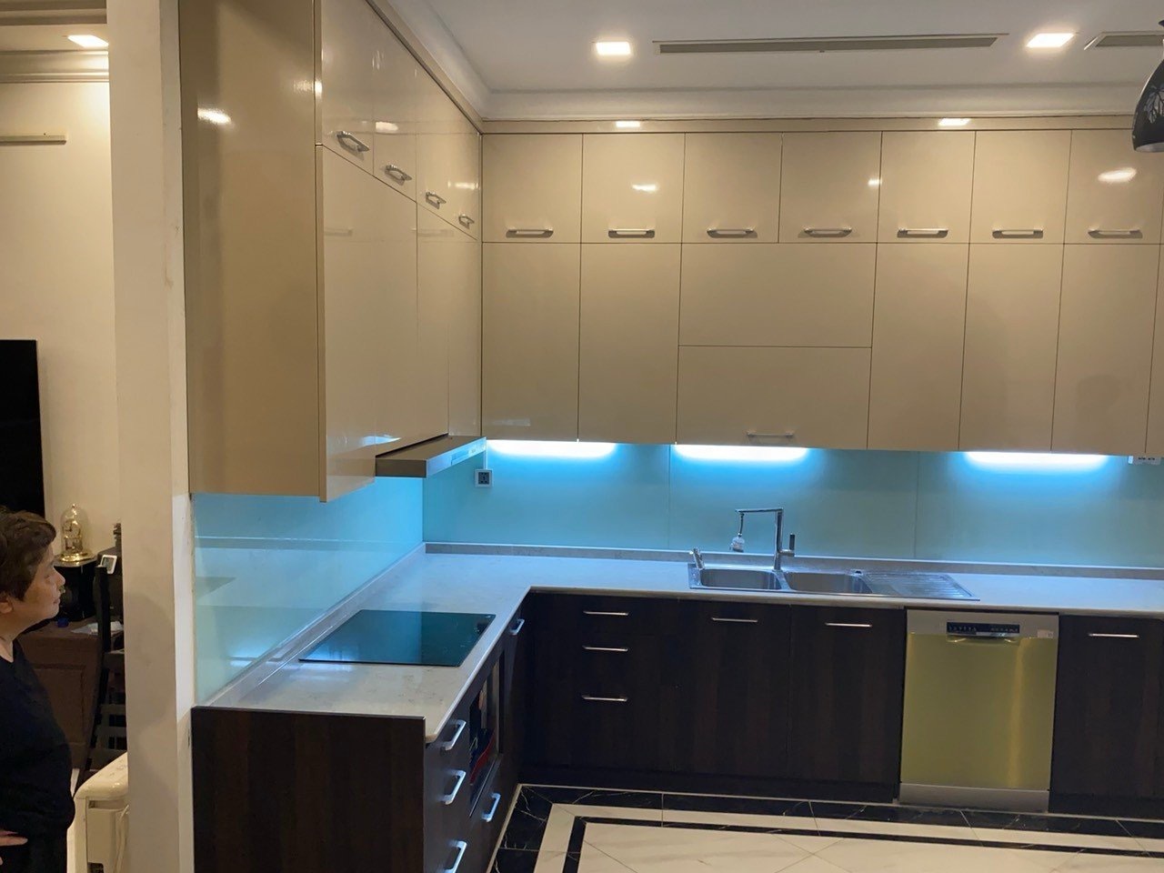 Tủ bếp có máy rửa bát: Những lợi ích và lưu ý khi chọn mua